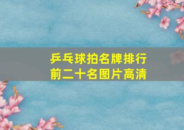 乒乓球拍名牌排行前二十名图片高清