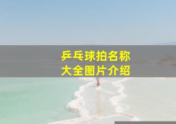 乒乓球拍名称大全图片介绍