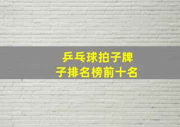 乒乓球拍子牌子排名榜前十名