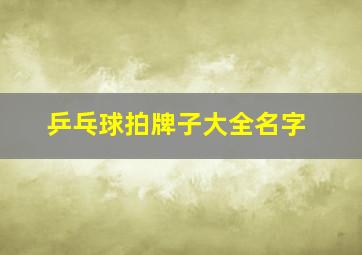 乒乓球拍牌子大全名字