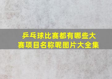 乒乓球比赛都有哪些大赛项目名称呢图片大全集