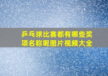 乒乓球比赛都有哪些奖项名称呢图片视频大全