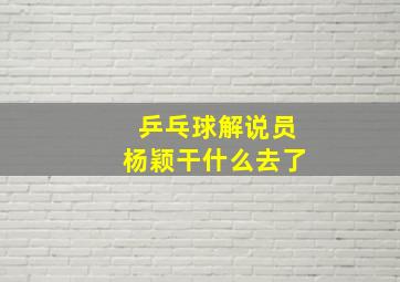 乒乓球解说员杨颖干什么去了