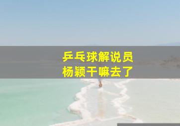 乒乓球解说员杨颖干嘛去了