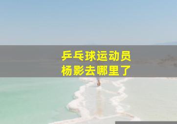 乒乓球运动员杨影去哪里了