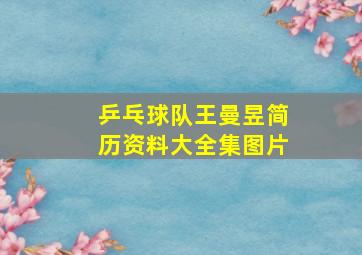 乒乓球队王曼昱简历资料大全集图片