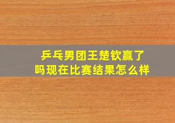 乒乓男团王楚钦赢了吗现在比赛结果怎么样