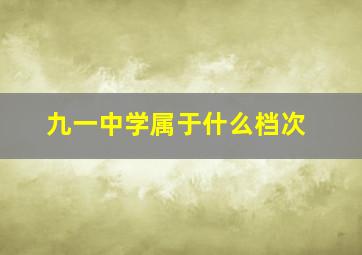 九一中学属于什么档次