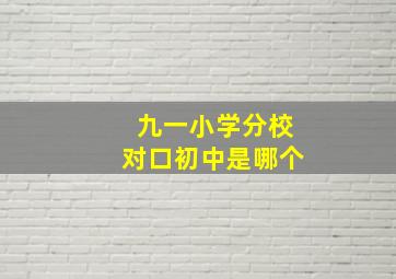 九一小学分校对口初中是哪个