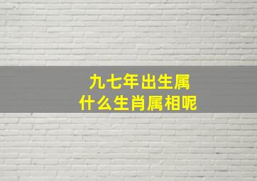 九七年出生属什么生肖属相呢