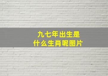 九七年出生是什么生肖呢图片