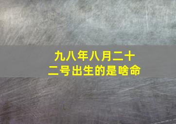 九八年八月二十二号出生的是啥命