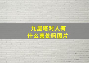 九层塔对人有什么害处吗图片