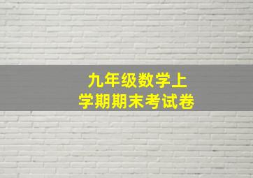 九年级数学上学期期末考试卷