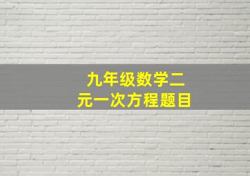 九年级数学二元一次方程题目