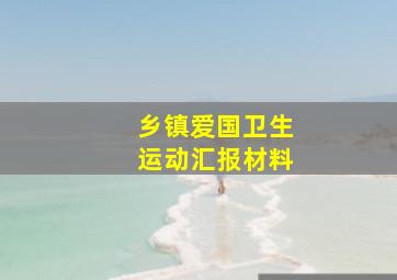 乡镇爱国卫生运动汇报材料