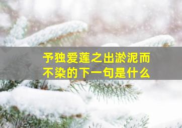 予独爱莲之出淤泥而不染的下一句是什么