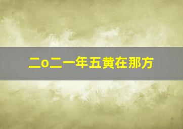 二o二一年五黄在那方