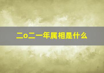 二o二一年属相是什么