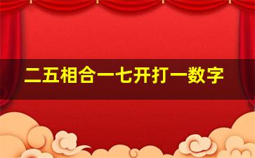 二五相合一七开打一数字