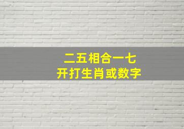 二五相合一七开打生肖或数字