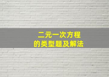 二元一次方程的类型题及解法