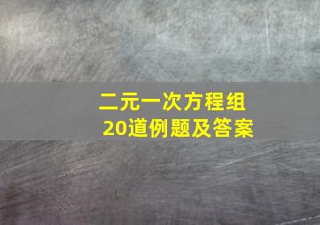 二元一次方程组20道例题及答案