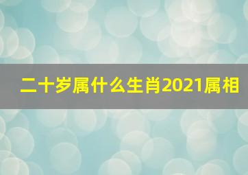 二十岁属什么生肖2021属相