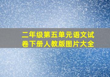 二年级第五单元语文试卷下册人教版图片大全