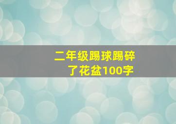 二年级踢球踢碎了花盆100字