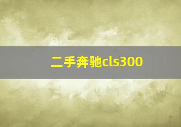 二手奔驰cls300