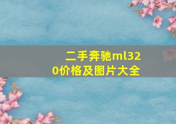 二手奔驰ml320价格及图片大全