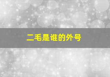 二毛是谁的外号