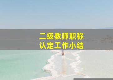 二级教师职称认定工作小结