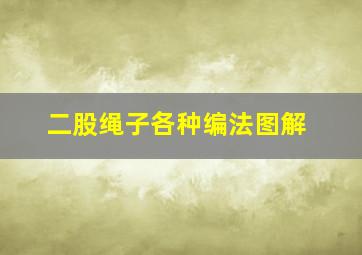 二股绳子各种编法图解