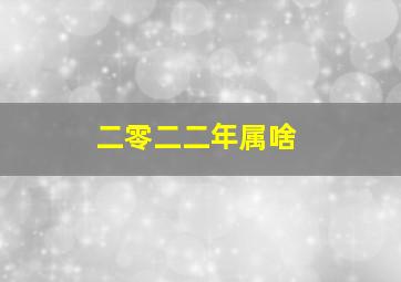 二零二二年属啥