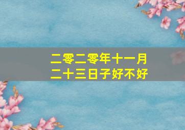 二零二零年十一月二十三日子好不好