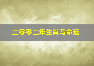 二零零二年生肖马命运