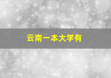 云南一本大学有