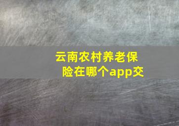 云南农村养老保险在哪个app交