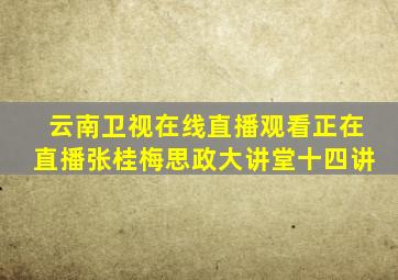 云南卫视在线直播观看正在直播张桂梅思政大讲堂十四讲