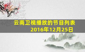 云南卫视播放的节目列表2016年12月25日