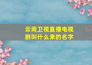 云南卫视直播电视剧叫什么来的名字