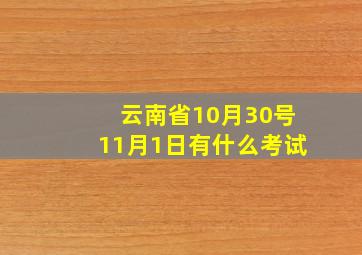 云南省10月30号11月1日有什么考试