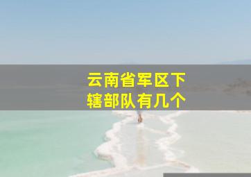 云南省军区下辖部队有几个