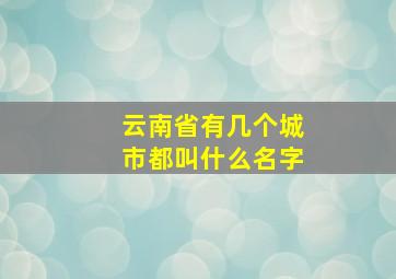 云南省有几个城市都叫什么名字