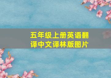 五年级上册英语翻译中文译林版图片