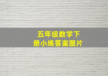 五年级数学下册小练答案图片