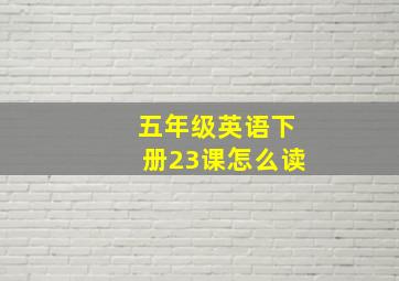 五年级英语下册23课怎么读