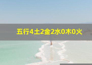 五行4土2金2水0木0火